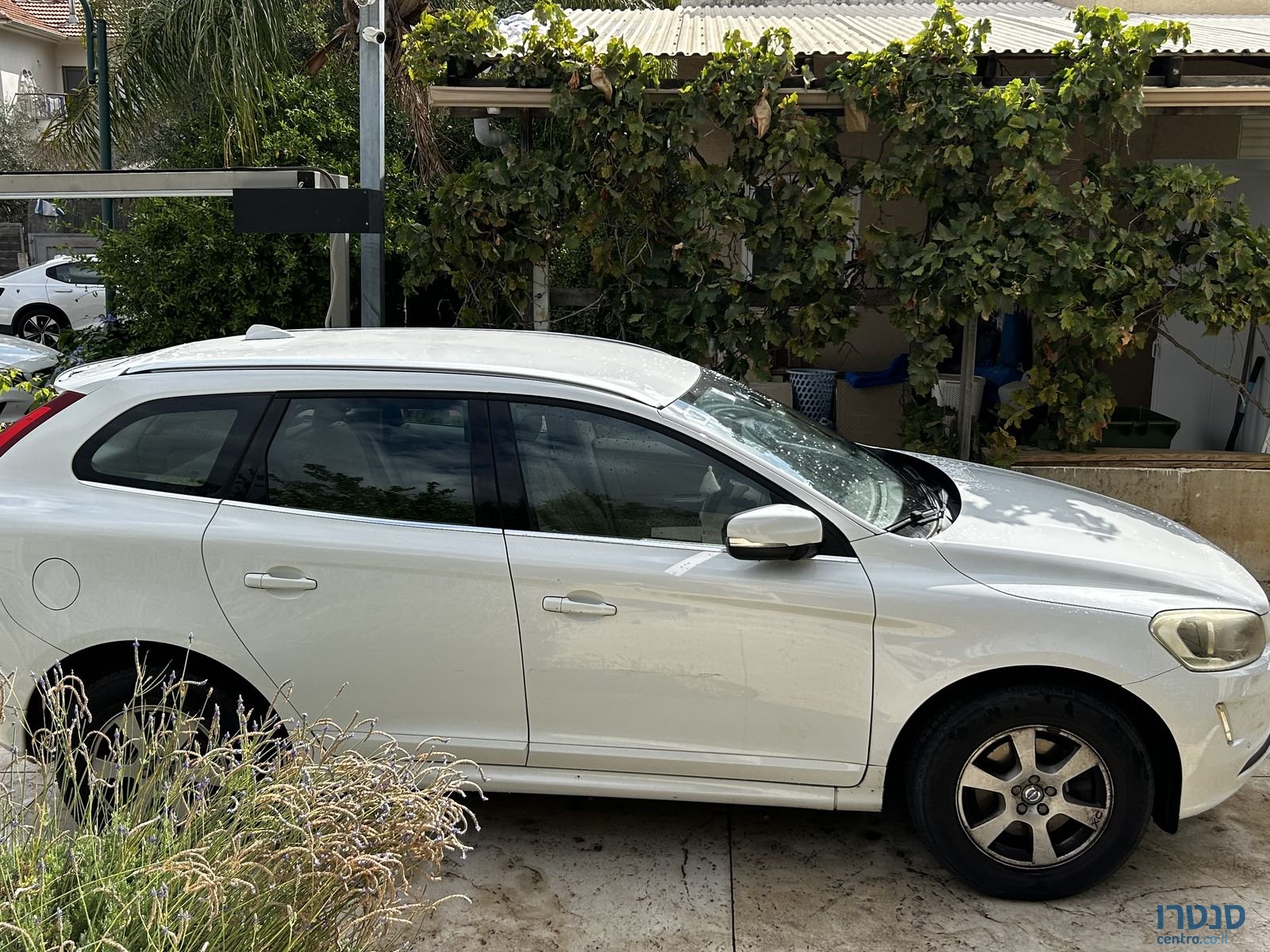 2015' Volvo 244 וולוו photo #1