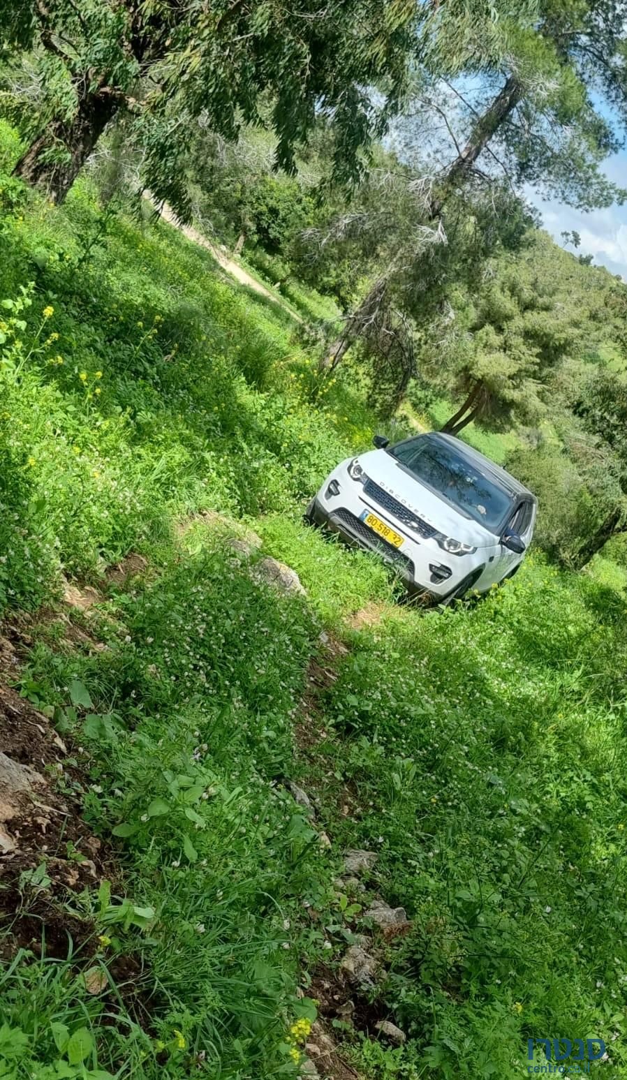 2017' Land Rover Discovery לנד רובר דיסקברי ספורט photo #1