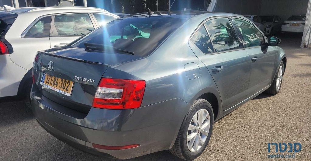 2019' Skoda Octavia סקודה אוקטביה photo #3