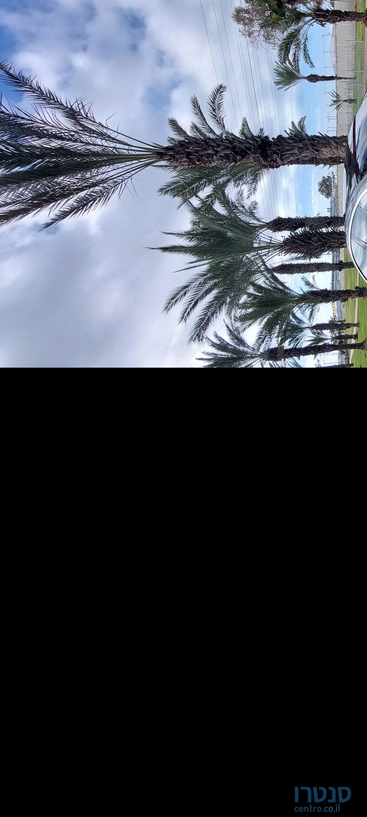 2013' BMW 6 Series ב.מ.וו סדרה 6 photo #2