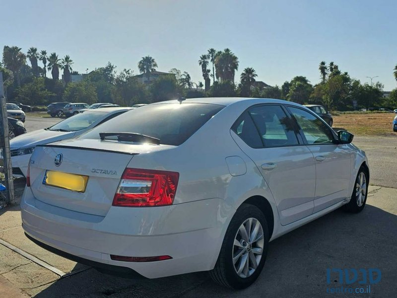 2020' Skoda Octavia סקודה אוקטביה photo #5