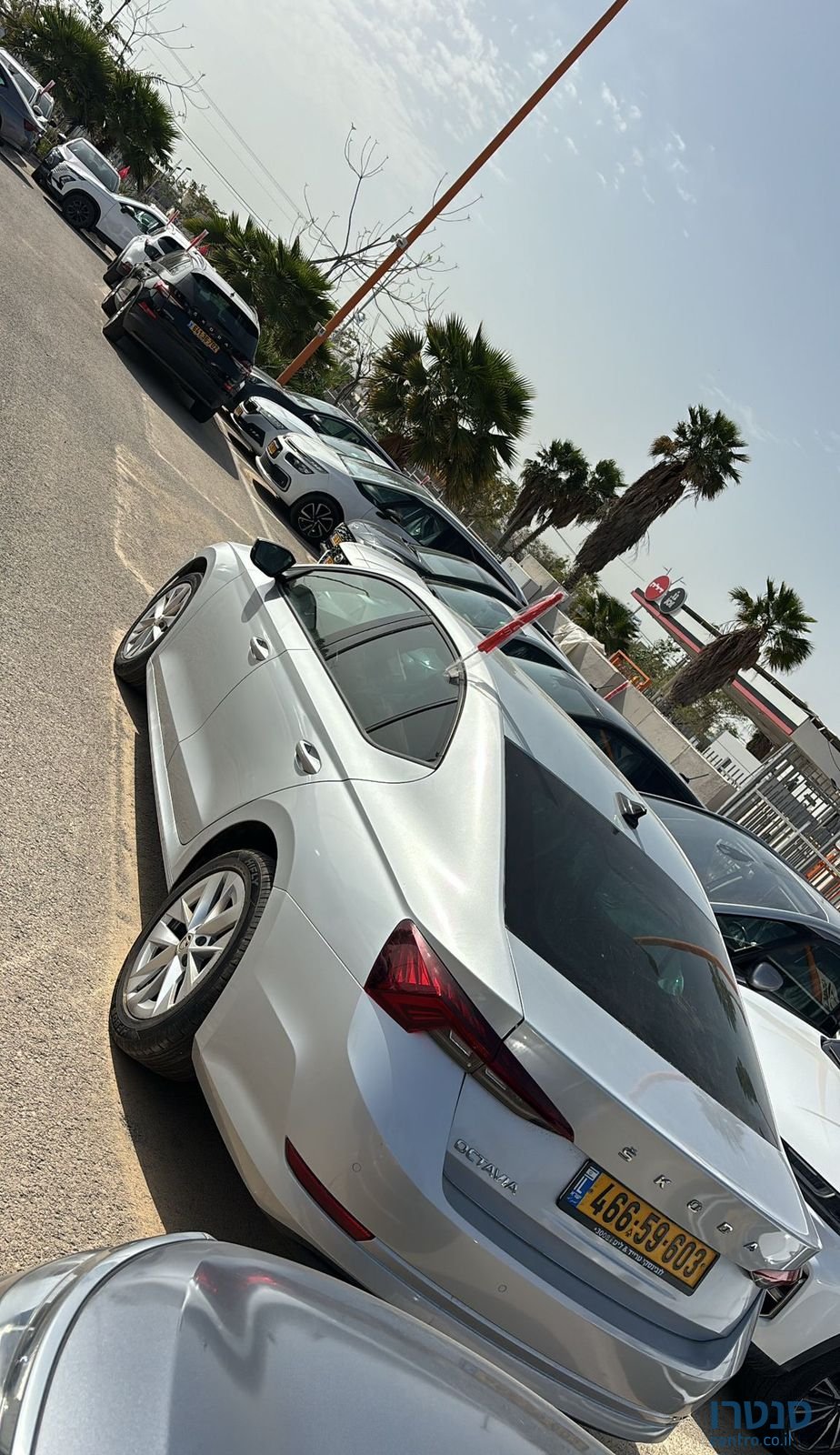 2023' Skoda Octavia סקודה אוקטביה photo #4