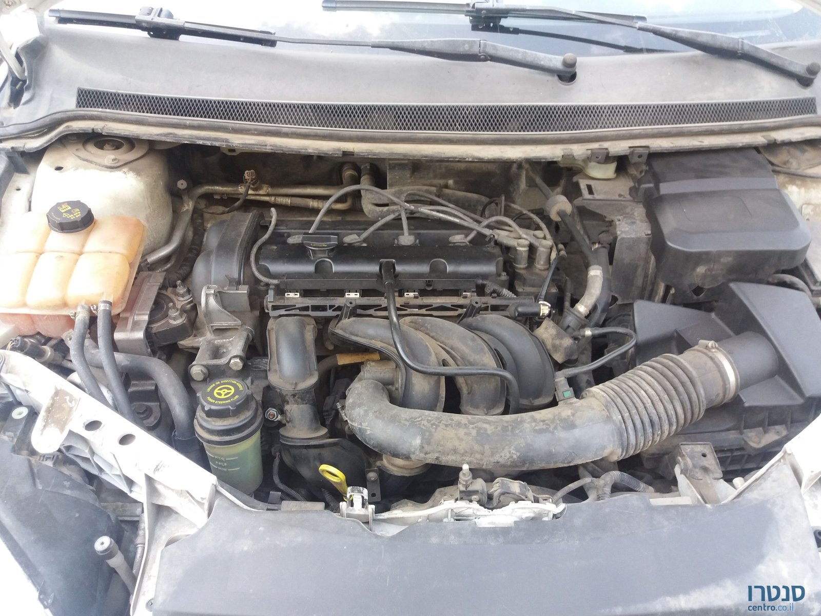 2007' Ford Focus פורד פוקוס photo #4