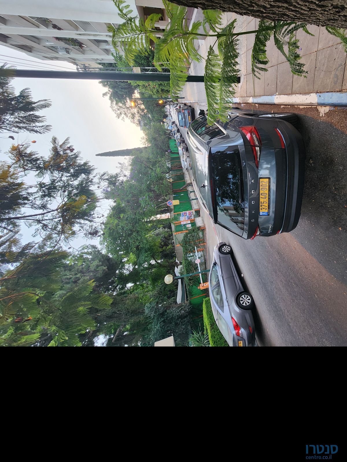 2021' Skoda Octavia סקודה אוקטביה photo #2