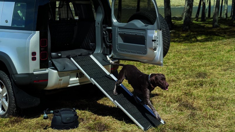 2020 Land Rover Defender has accessories your dog will enjoy