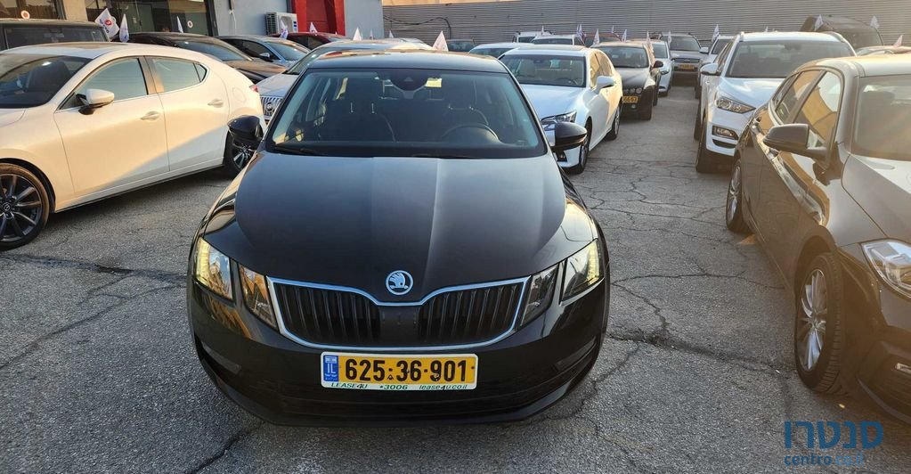 2019' Skoda Octavia סקודה אוקטביה photo #5