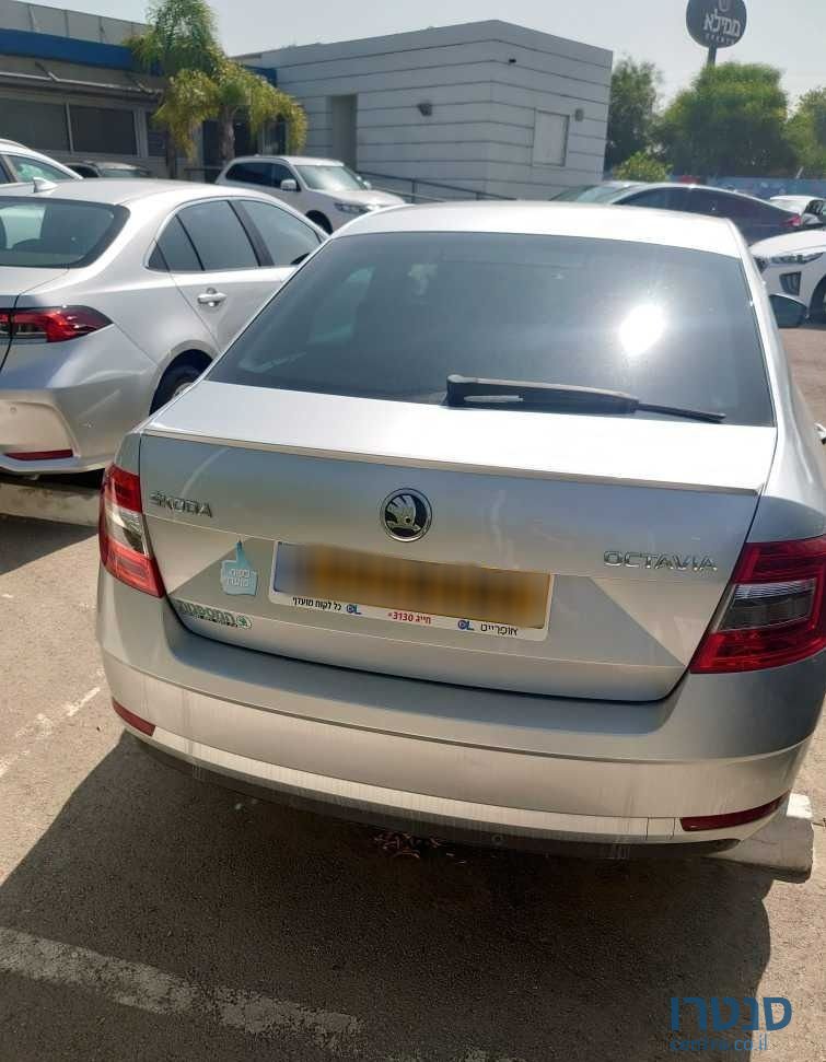 2019' Skoda Octavia סקודה אוקטביה photo #2
