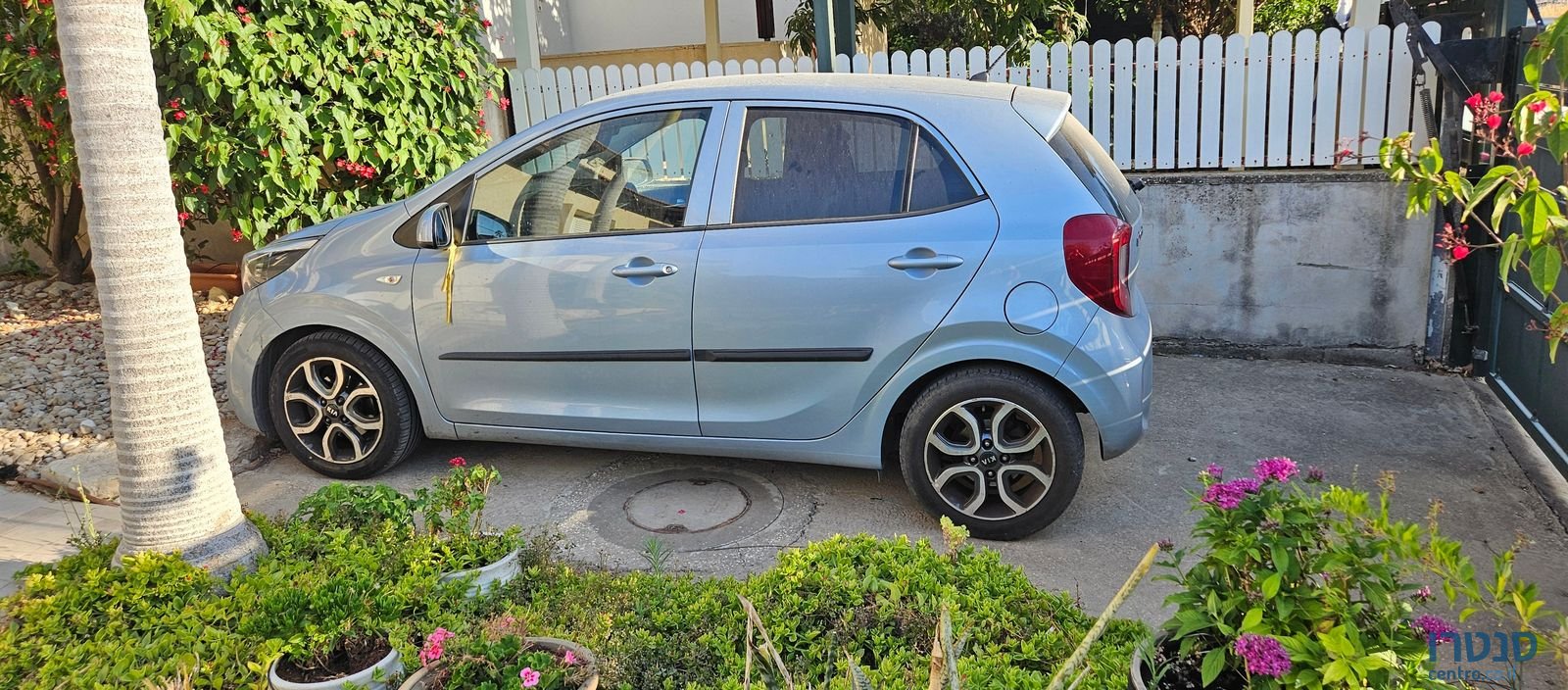 2020' Kia Picanto קיה פיקנטו photo #2