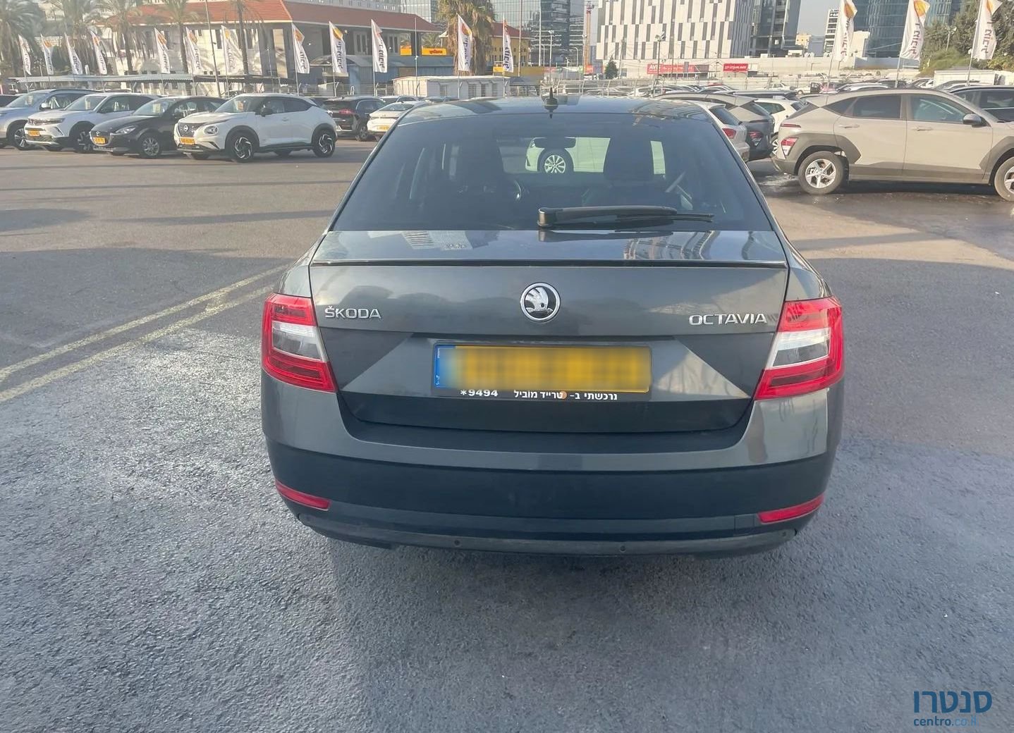 2020' Skoda Octavia סקודה אוקטביה photo #3