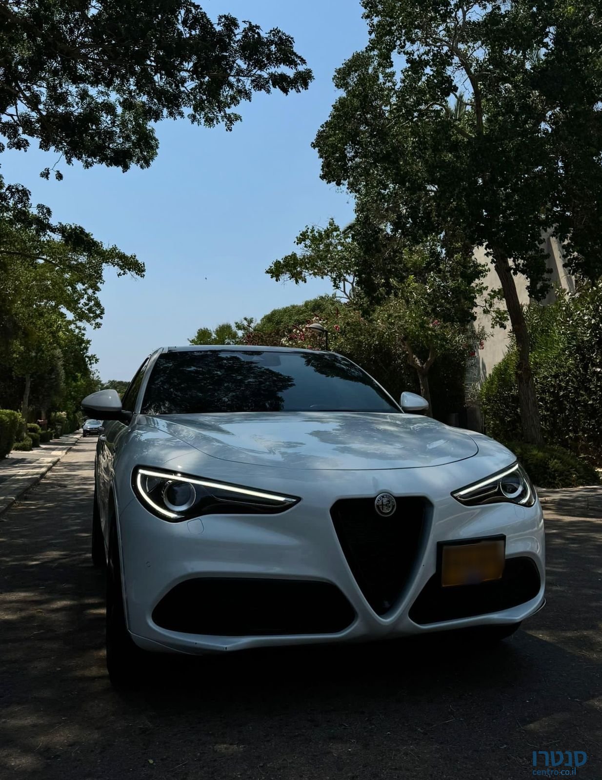 2022' Alfa Romeo Stelvio אלפא רומיאו סטלביו photo #1