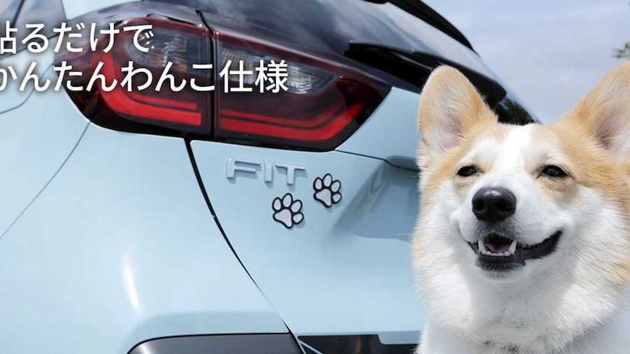 Honda Introduces Paw Accessories For Dog Lovers Of Japan