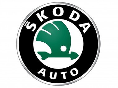 Компания Skoda Построит Свой Первый Электромобиль