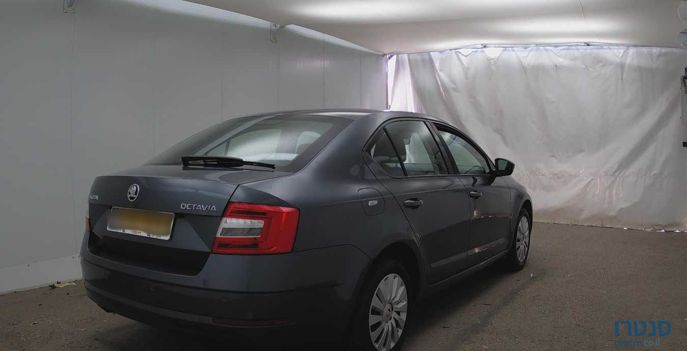 2019' Skoda Octavia סקודה אוקטביה photo #3