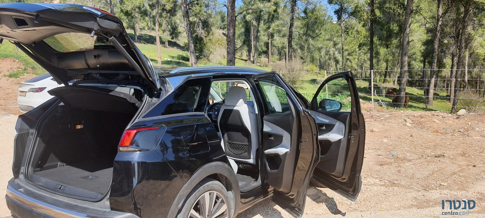 2020' Peugeot 3008 1.5 turbodizel hdi Premium photo #7