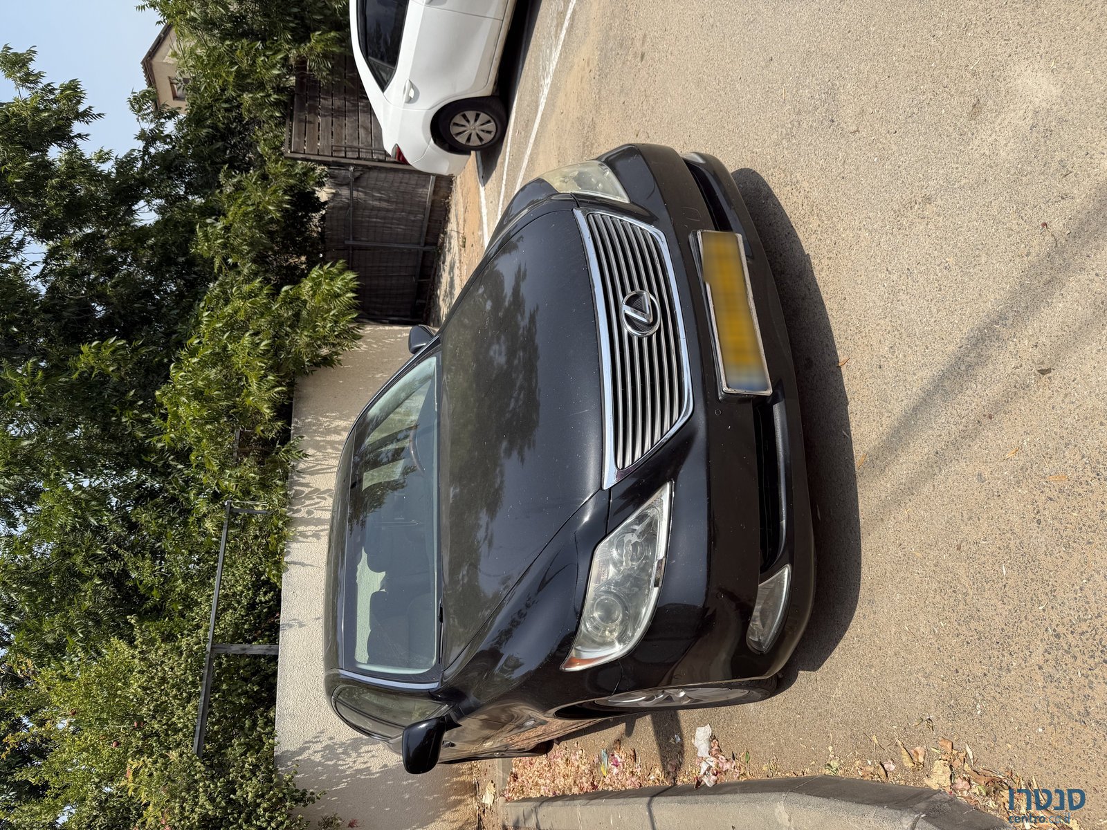 2008' Lexus LS 460 photo #4