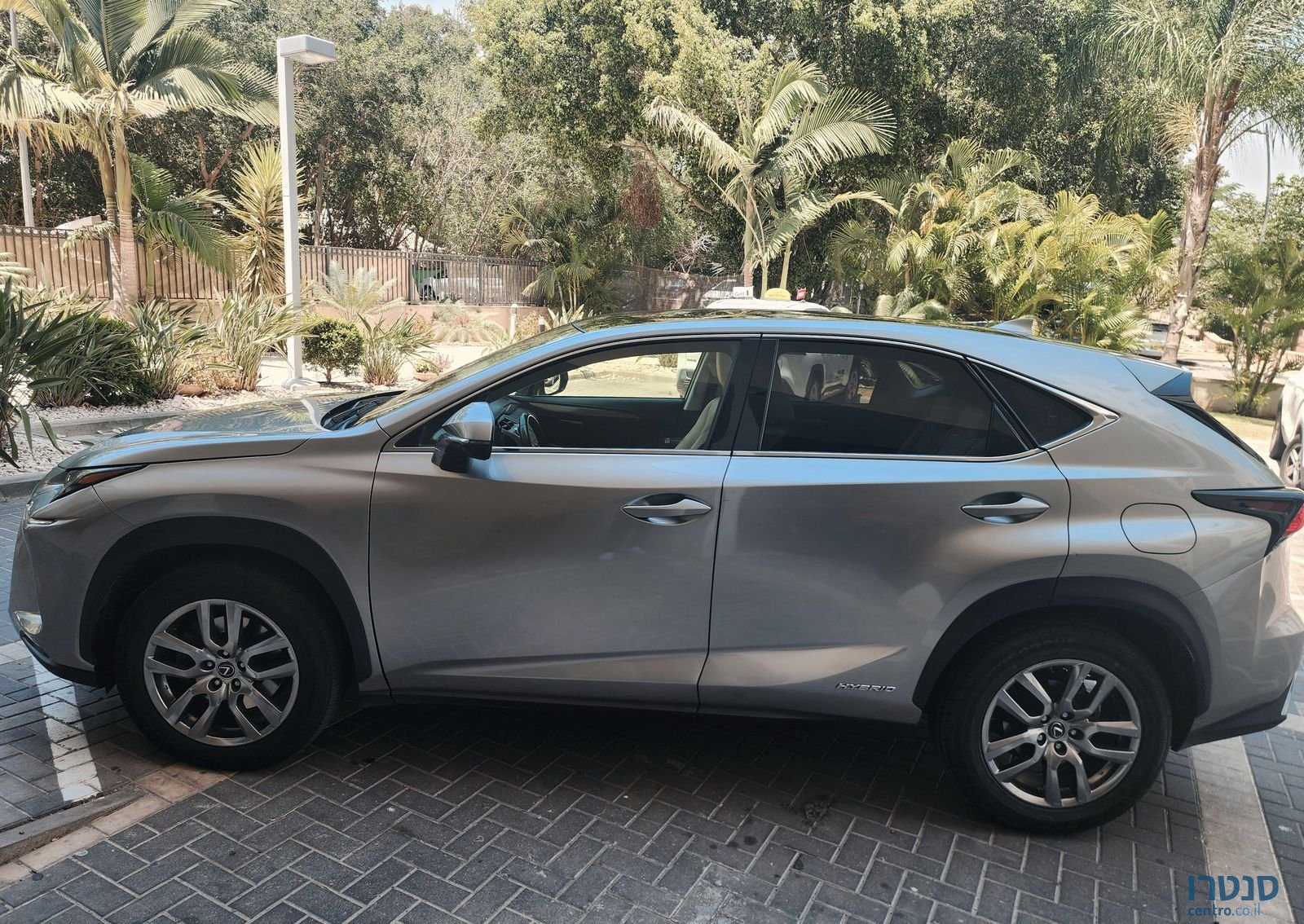 2020' Lexus NX לקסוס photo #1