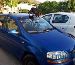 2006' Chevrolet Aveo שברולט אוואו photo #1