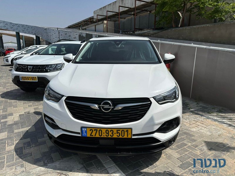 2019' Opel Grandland X photo #2