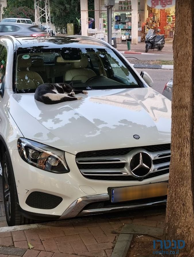 2016' Mercedes-Benz GLC מרצדס photo #1