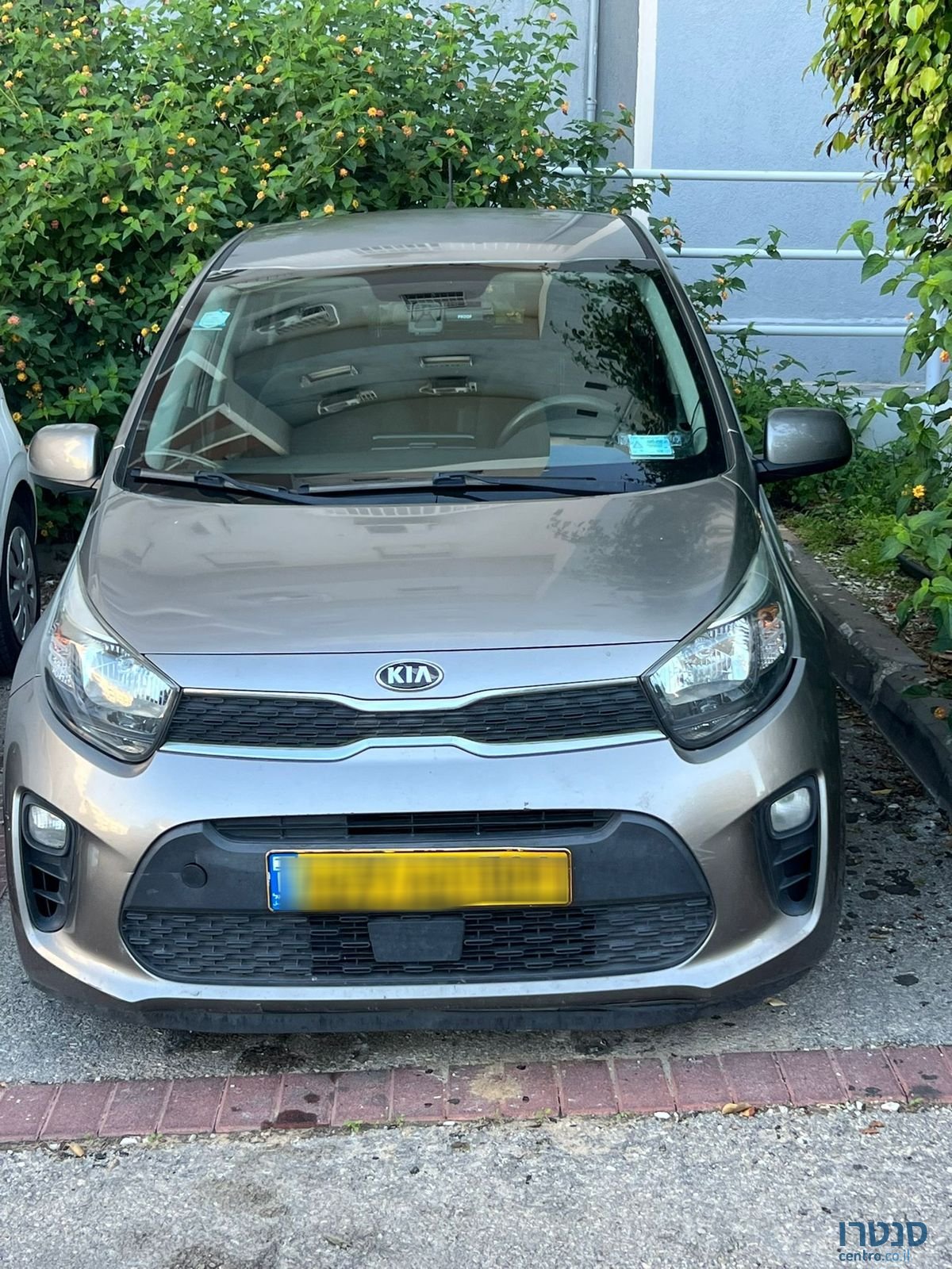 2019' Kia Picanto קיה פיקנטו photo #1