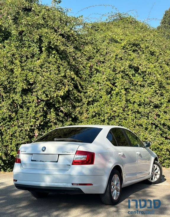 2019' Skoda Octavia סקודה אוקטביה photo #3
